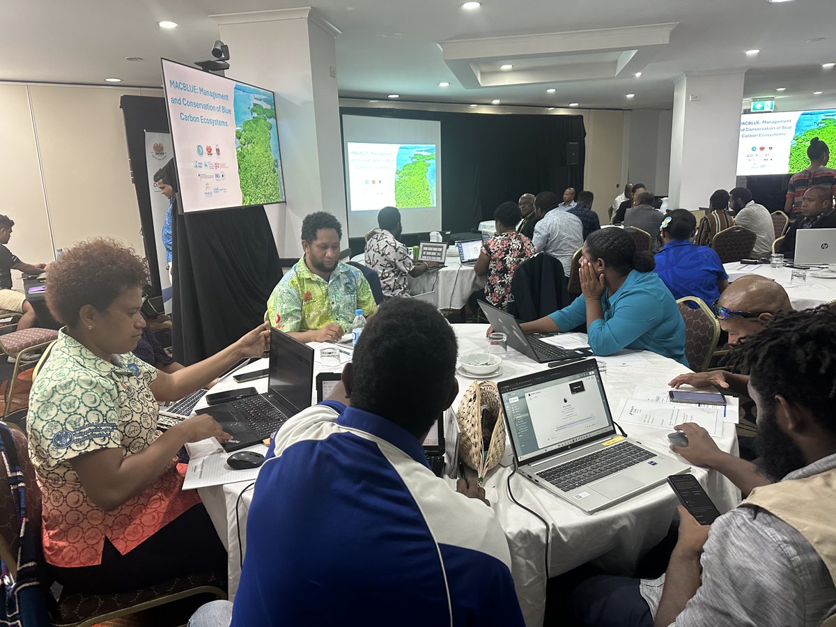 spc_cps's tweet photo. 32 representatives from #PNG enhanced their skills in geospatial analysis of seagrass and mangrove ecosystems through a practical &amp; field.
Platforms like Digital Earth Pacific unlock new possibilities for data-driven decision-making.
Why does this matter: https://t.co/7AzmtblULW https://t.co/FPr1sHKEEJ