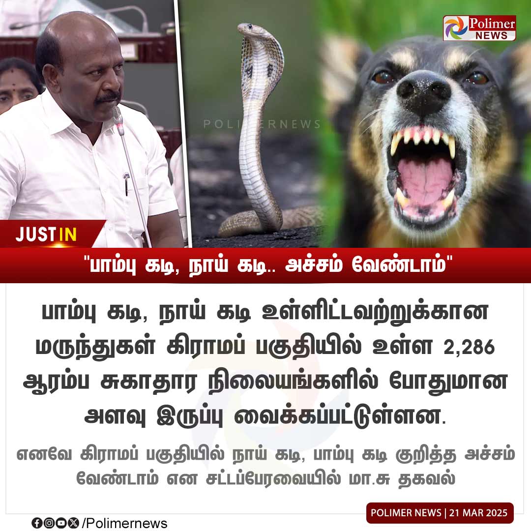 polimernews's tweet photo. #JUSTIN || பாம்பு கடி, நாய் கடி.. அச்சம் வேண்டாம் - மா.சு | #TNAssembly2025 | #MaSubramaniyan | #DogByte | #SnakeByte | #PolimerNews https://t.co/aDRRttwdrU
