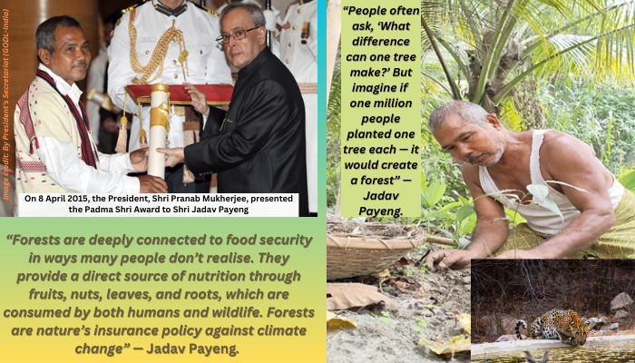 ScienceReporte1's tweet image. Happy World Forest Day!
March issue of Science Reporter on “Forest and Food,” features an interview with Padma Sh Jadav Payeng, the “Forest Man of India,” whose efforts have transformed India’s environmental landscape.
nopr.niscpr.res.in/handle/1234567…
@CSIR_IND  @CSIR_NIScPR 
@NehaScope