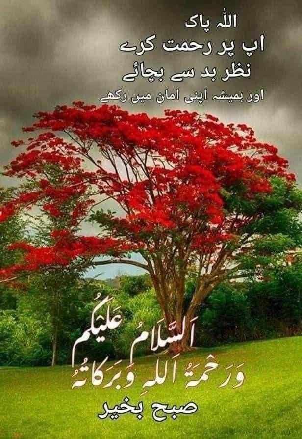 mmiask's tweet image. Assalam Alaikum!
#الكويت_العراق #FirstDayOfSpring