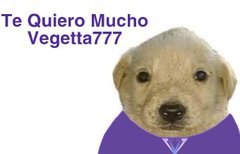 PintoFrann013𓆰𓆪 tweet media