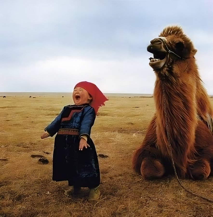 i_amHafiz's tweet photo. This positive and Heartwarming Thread

Will bring a smile to your face 🧵

1. I can hear both smiles https://t.co/M9h92NqemS