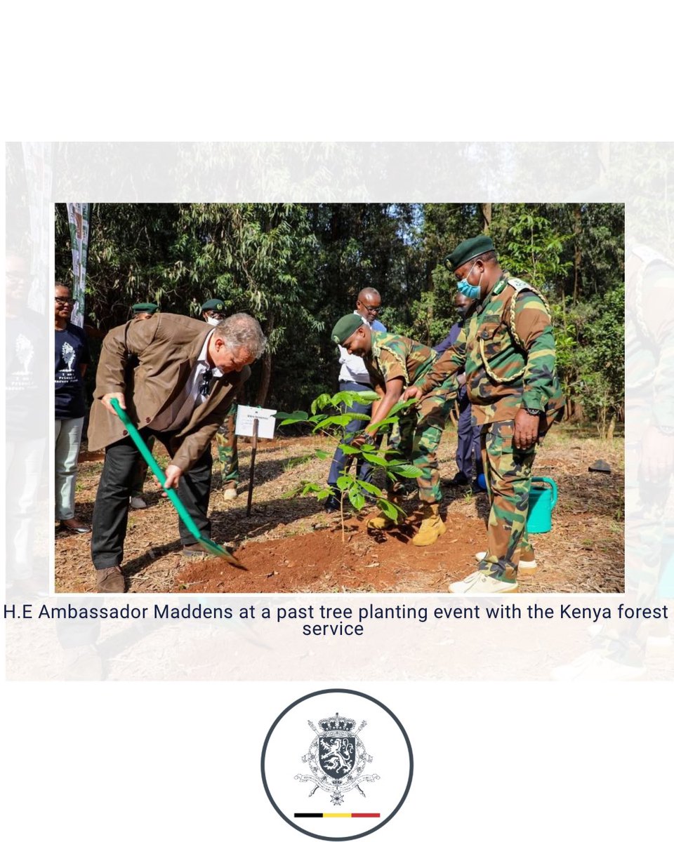 March 21 is the International Day of Forests

#BetterWithForests #ForNature #TogetherForOurPlanet #BelgiumMFA