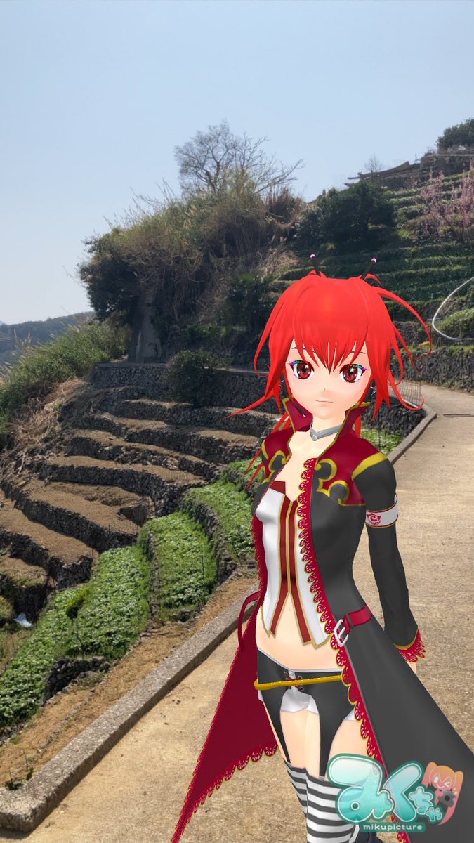 Shiokaze_ehime's tweet photo. 遊子水荷浦(ゆすみずがうら)の段畑に
赤カル姉さん達
晴天☀️

愛媛県宇和島市

#みくちゃ
#CULART https://t.co/GNIqnrVYO0