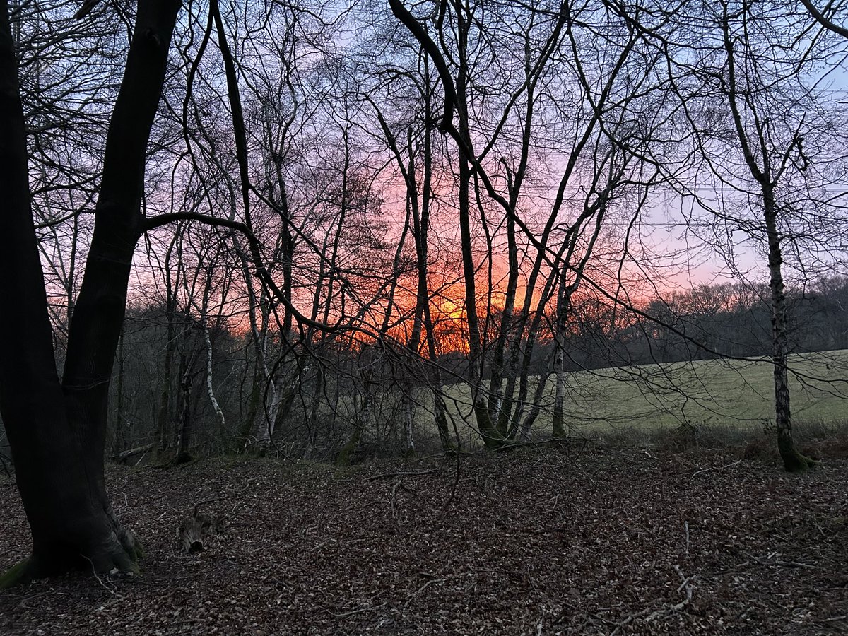 What a beautiful sky in Mid Sussex this morning! Happy Friday