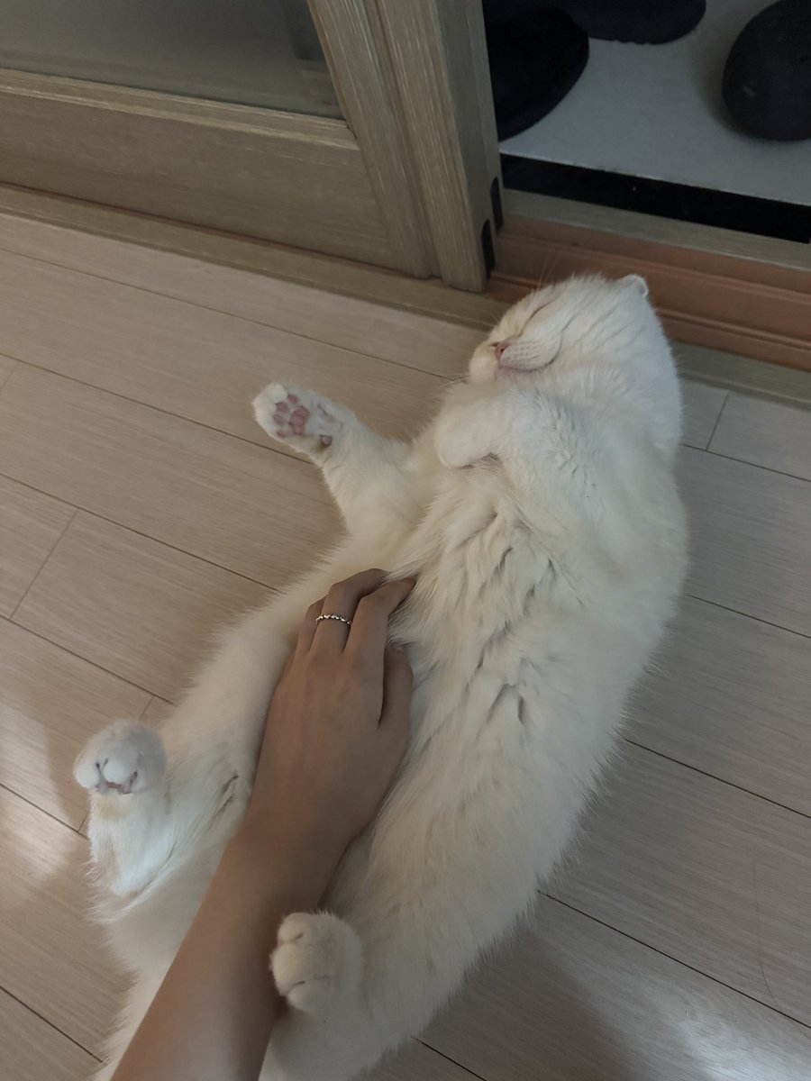 임바루 tweet media