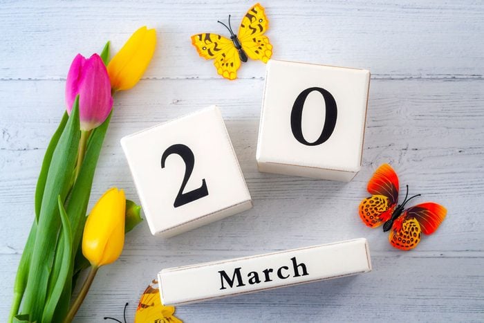 Battleir's tweet photo. Happy First Day of Spring! 🌸🌹🥀🌺🌻🌼🌷🪻⚘️ #SpringEquinox #VernalEquinox #Spring https://t.co/7K1cgFXzv2