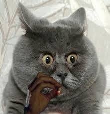 Когда читаешь реплеи к залетевшим твитам и понимаешь,что карательная психиатрия зря отменена