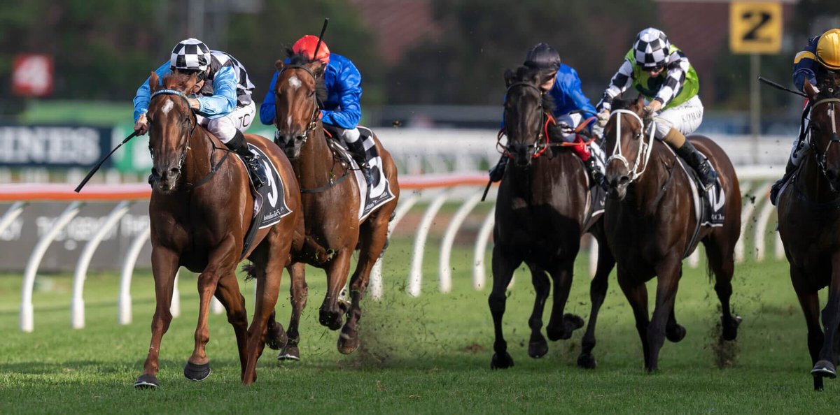 $1.2m Farnan colt, Farcited, lines up in Saturday’s G1 Golden Slipper with the hopes of emulating his sire but what makes his presence oncourse tomorrow even more fitting is that his dam, I Am Excited, won the Group 1 Galaxy on this day too back in 2020.

I Am Excited was raced