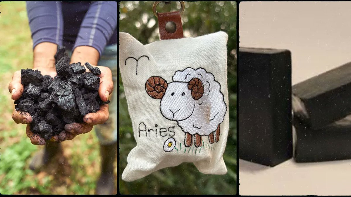Biochar Life tweet media