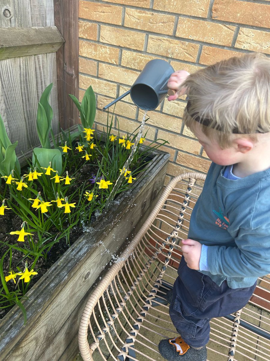 Thomas Minton tweet media