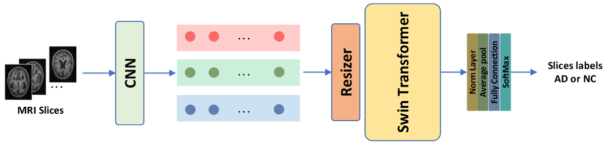 Applsci's tweet image. 📢 Read our Paper 
📚 Resizer Swin Transformer-Based Classification Using sMRI for Alzheimer’s Disease
🔗 mdpi.com/2076-3417/13/1…
👨‍🔬 by Yihang Huang and Wan Li
#swintransformer #resizer #CNN