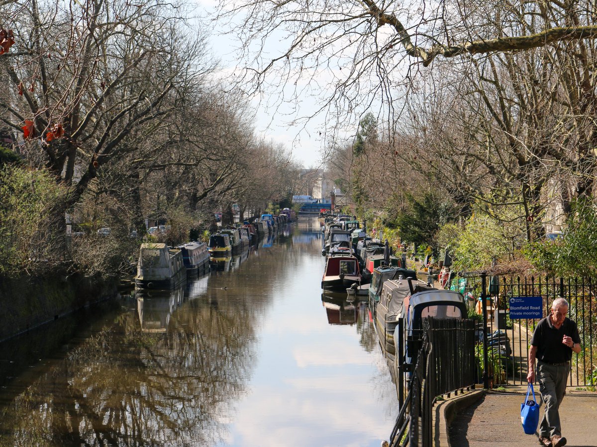 Will Petty 🌳🌳 tweet media