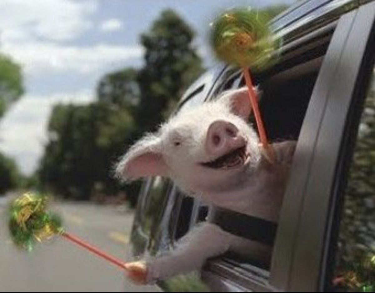 Conrad Hawley Burner tweet media