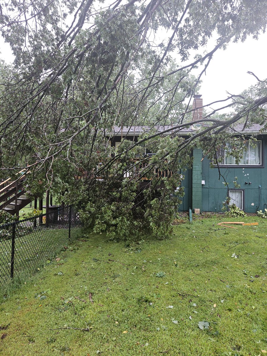 Kise_Jacks's tweet photo. @johnkriesel I know what you mean!
This was in August at our place in Isanti. It was overwhelming enough...could not imagine Joplin or even when Wadena MN got nailer back in the day... https://t.co/6FF2rVFNyE