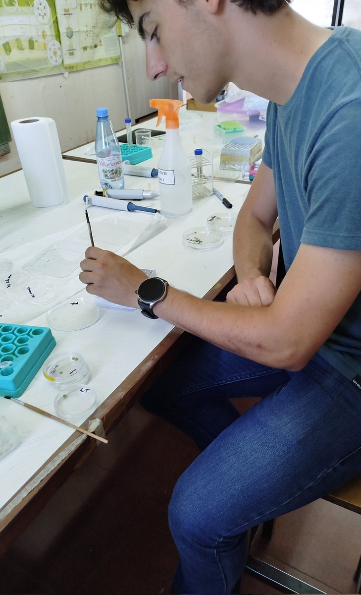Ayer cerramos el curso #TSP2025 con un trabajo práctico de jornada completa, en donde compartimos nuestra pasión en común: pipetear 👩‍🔬🌱🔬