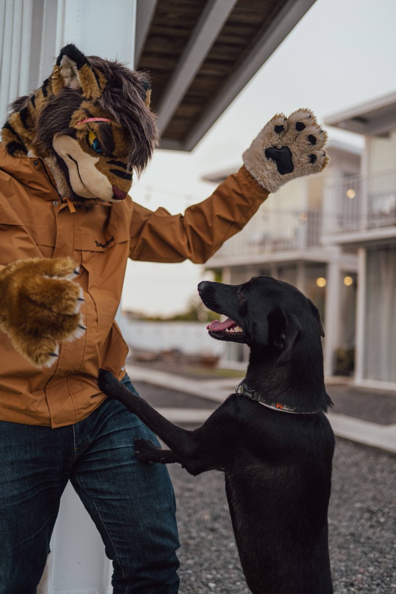 四歳になりました、今年はさらに充実したね！
これからもマイペースで色々試したい！
これからもよろしくお願いします！
#犬工房