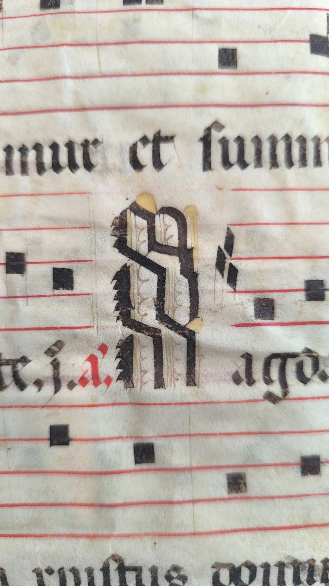 Archivos Estatales tweet media