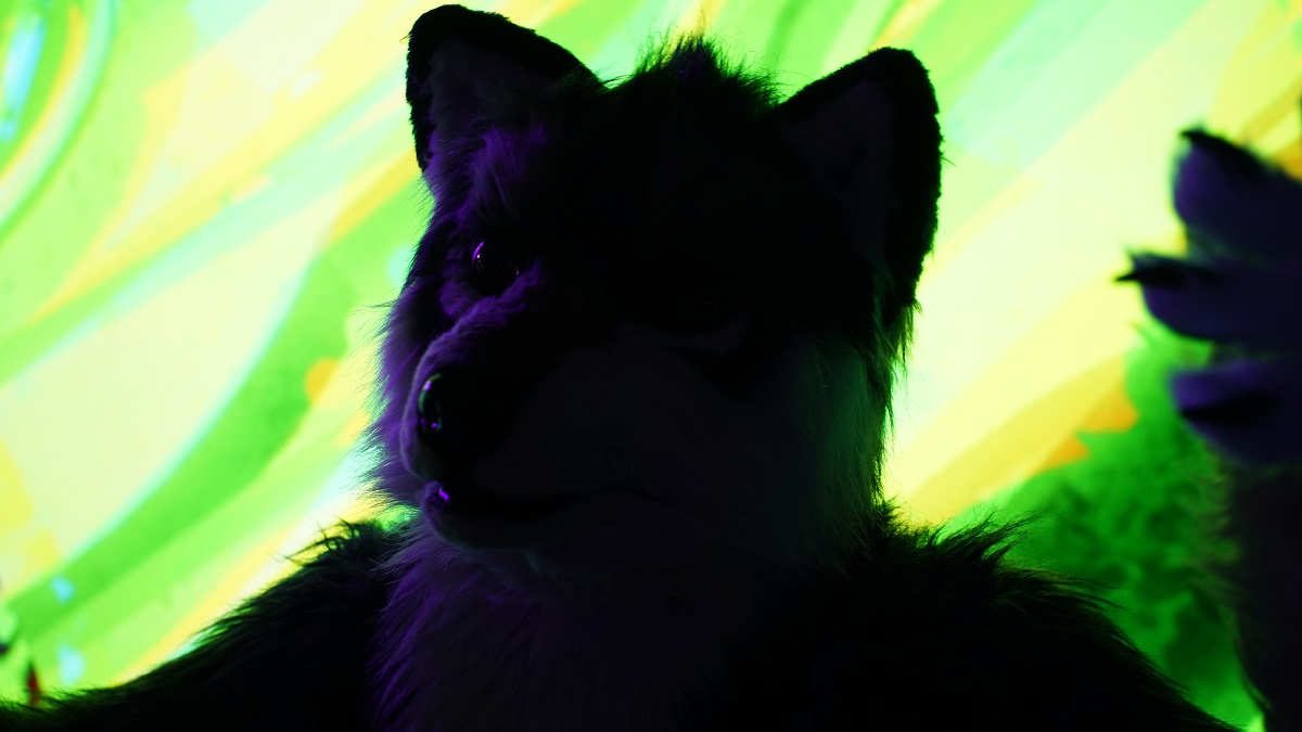 #FursuitFriday #gdakon2025
Rite now im wolf shadow ghost from afterlife

photo by: Axel