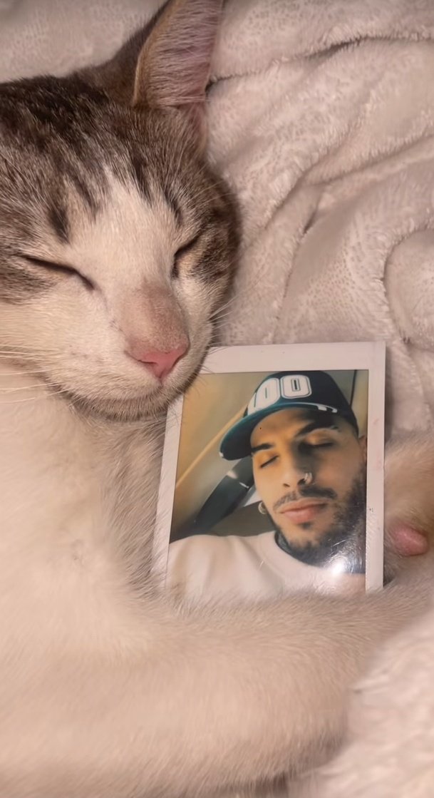 rauwnimeconoce's tweet image. no entenderían la maldita vibe