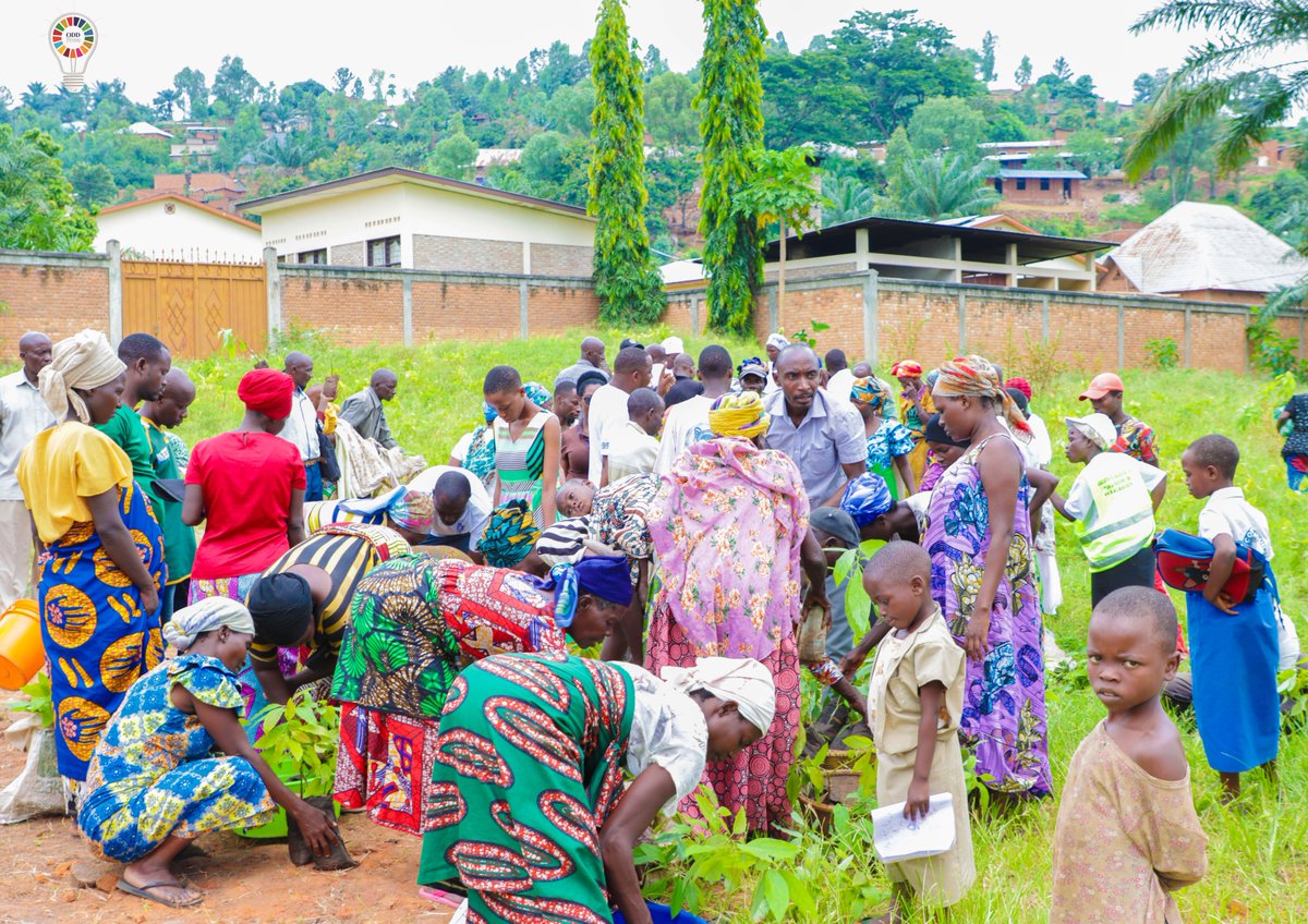 🌳Nous avons besoin d'#arbres pour :

✅Rafraîchir l'air 
✅Filtrer les polluants 
✅Atténuer le changement climatique 
✅Améliorer la santé physique et mentale 
✅Réduire les besoins en climatisation  
✅Augmenter la biodiversité urbaine etc 
 #climat #ODD13 #Agenda2030
