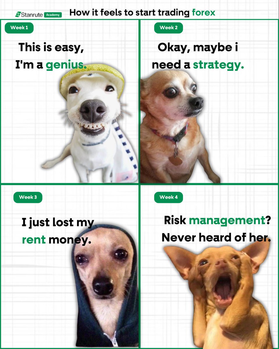 How it feels to start trading Forex

REGISTER NOW!!! for Stanrute's 2.0 Forex course today 🚀🚀, before you become the meme😂

#forex 
#forextrading 
#forexsignals 
#ForexMarket 
#forexeducation