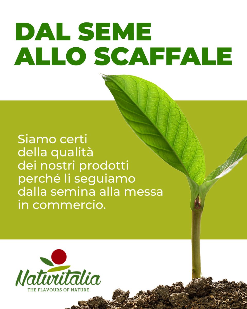 Naturitalia's tweet image. Siamo certi della qualità dei nostri prodotti perché li seguiamo scrupolosamente dalla semina alla messa in commercio.
Una sicurezza che è sempre sinonimo di bontà.

Scopri di più su naturit.it/it/qualita-e-f… 

#Naturitalia #ControlloQualità