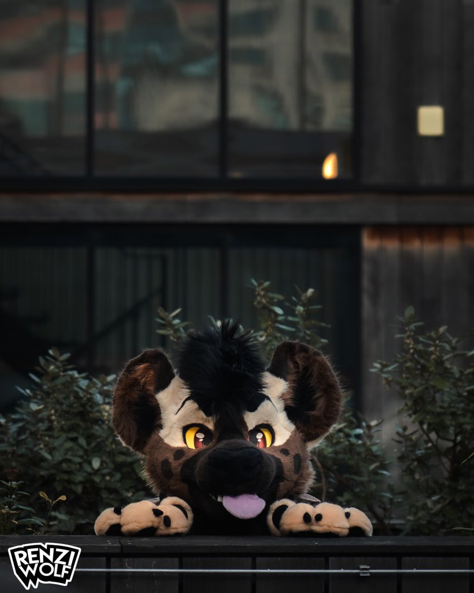 Oh, hello there!

#FursuitFriday 
📷 <a href="/RenziWolf/">Renzi Wolf</a> 
🧵 <a href="/OktaviasCsuits/">Oktavia’s Creatures</a>
