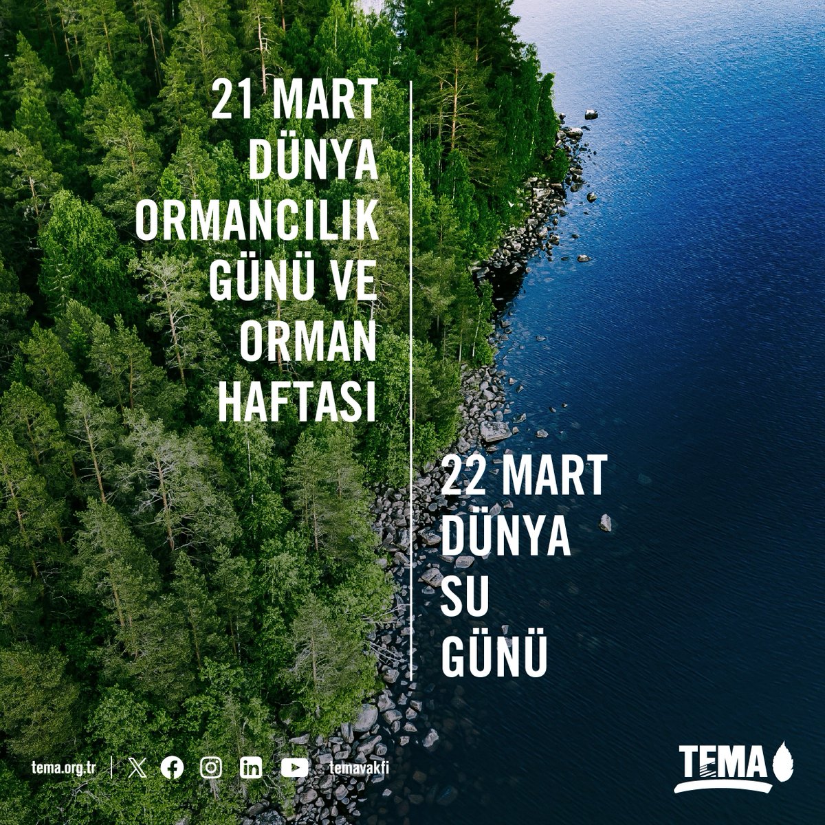 🌳Ormanlar ve Su💧: Geleceğimizin Teminatı

Ormanlar ve su, yaşamın ayrılmaz parçalarıdır. Sağlıklı bir gelecek ve iklim krizine dirençli ekosistemler için ormanlarımızı ve suyumuzu korumak artık bir tercih değil, zorunluluk.

📌 Birleşmiş Milletler, bu yıl Dünya Ormancılık