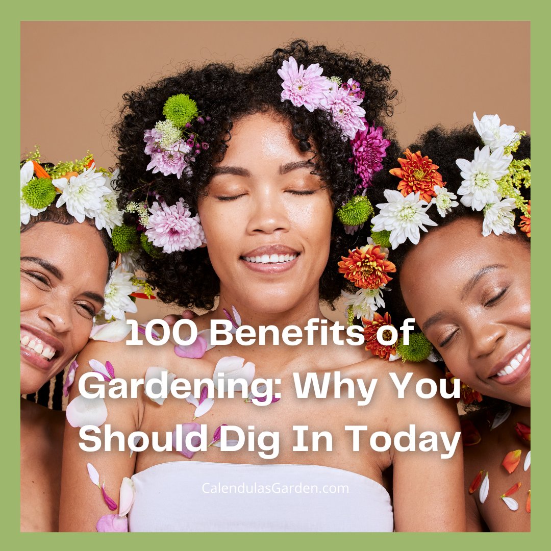 #Gardening is not just a hobby; it’s a multifaceted activity that offers an incredible array of benefits for your physical, mental, and emotional well-being.

Here’s a look at 100 compelling reasons to get your hands dirty!

calendulasgarden.com/100-benefits-o…