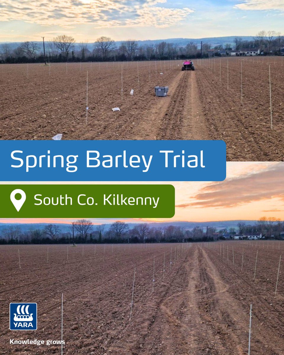 🌾Ireland’s Crop Nutrition Hub🌾

Our spring barley trial is in the ground! Sown a few days ago in South Co. Kilkenny, with fertiliser applied at the same time.

We’re monitoring N responses, using the N-Tester BT plus YaraVita and Amplix treatments to optimise performance!