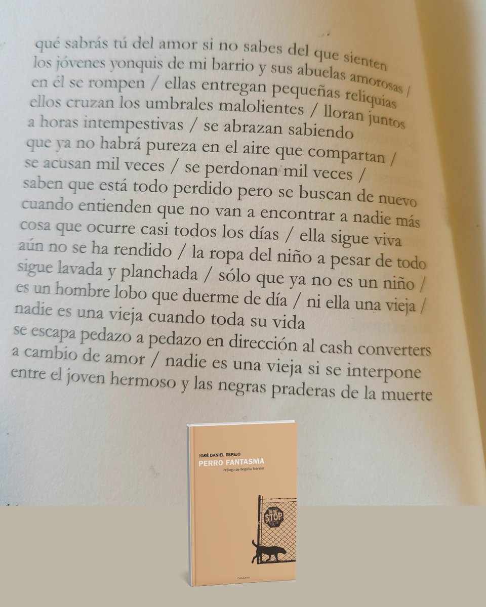 EdCandaya's tweet photo. ✨ Hoy celebramos el #DíaMundialDeLaPoesía.
La poesía nos sostiene, nos sacude y nos salva. Compartimos poemas de los 3 últimos libros de #CandayaPoesía
🩸 #AunqueMeExtinga — @Filoloca_
🌳 #RaízDulce — @JuanFRivero_
🐺 #PerroFantasma — @jdespejo
👉https://t.co/730IEG10of https://t.co/hMRbH92nwS