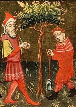 This Sunday at St Mary’s:

10.45am Choral Eucharist with Holy Baptism; music by Langlais. 

6.30pm Choral Evensong; music by Brewer and Palestrina. 

All welcome!