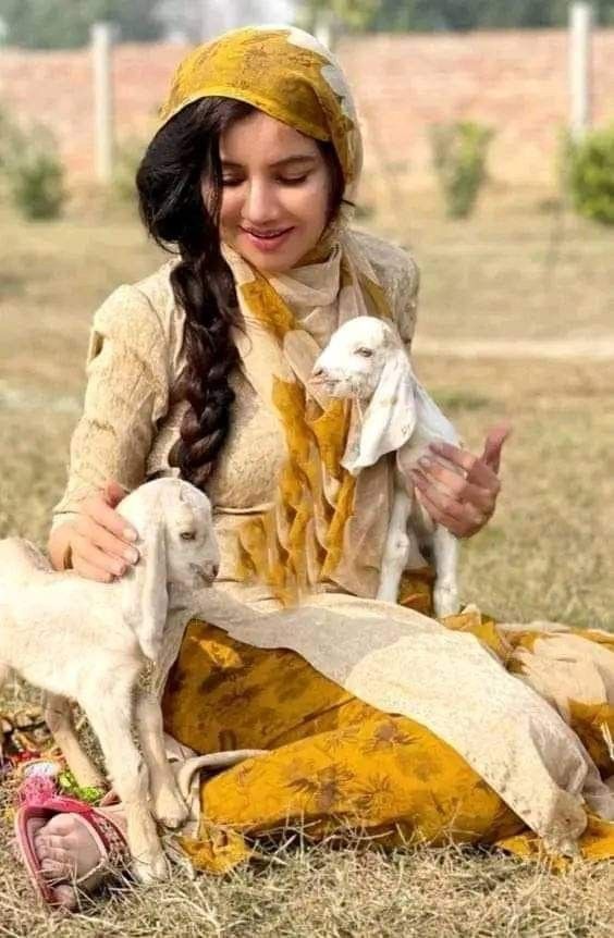 अपनी मर्ज़ी से कहाँ अपने सफ़र के हम हैं

रुख़ हवाओं का जिधर का है उधर के हम हैं

#GK💖
#महक #जिंदगी #सफ़र #तन्हा