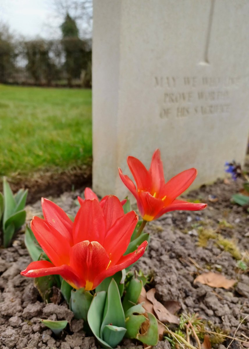 Spring has sprung! <a href="/CWGC/">Commonwealth War Graves</a> Stonefall