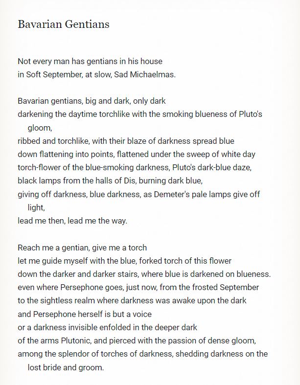 James Marriott tweet media