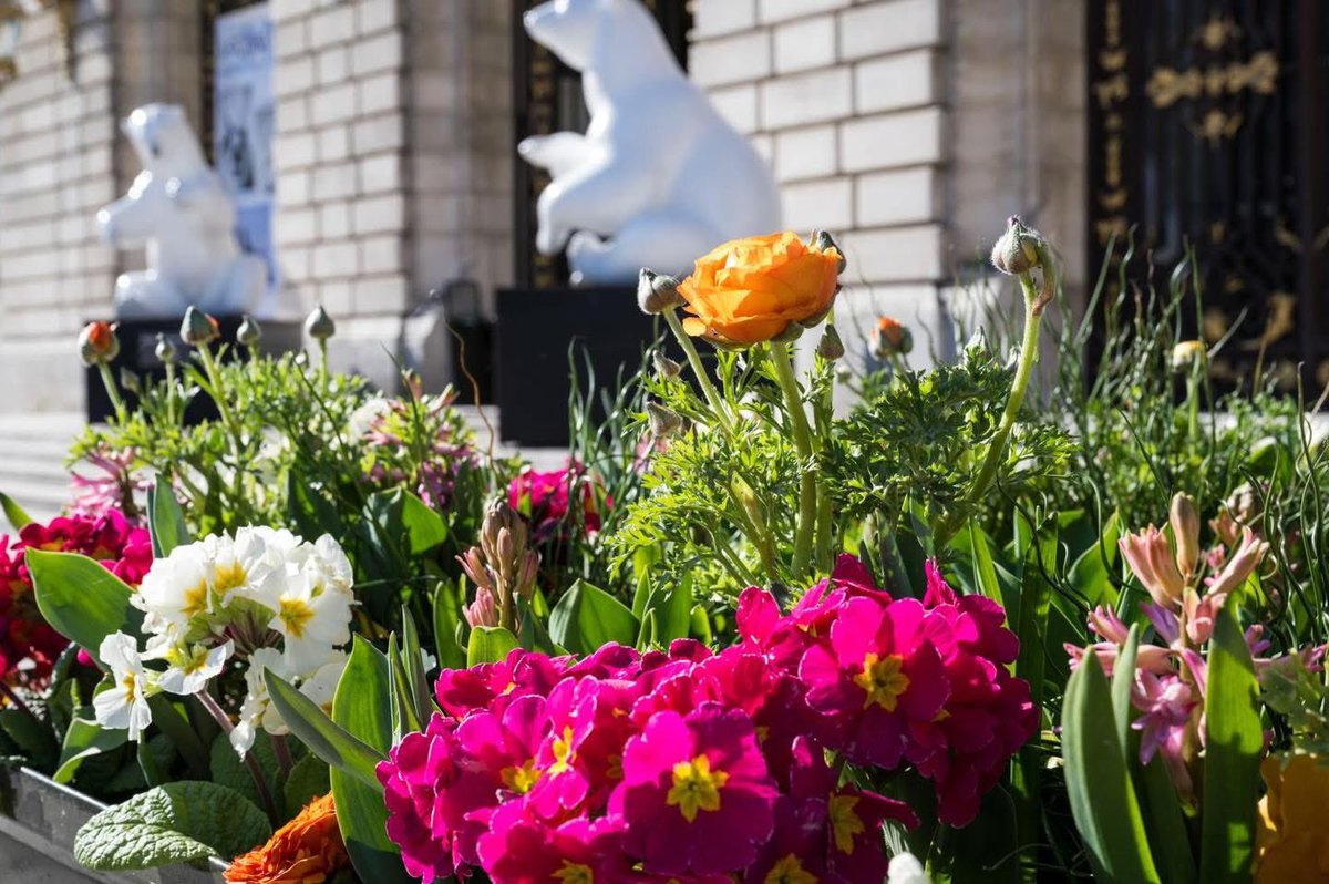 villelevallois's tweet photo. 🌸 À Levallois, le printemps est là !

👨‍🌾 Merci à nos jardiniers pour l’entretien de nos magnifiques parcs et jardins, où fleurs et oiseaux ont retrouvé leurs plus belles couleurs 🦜

#Levallois #levallois #sortiralevallois #printemps #garden #parc https://t.co/NCj1ew2wfv