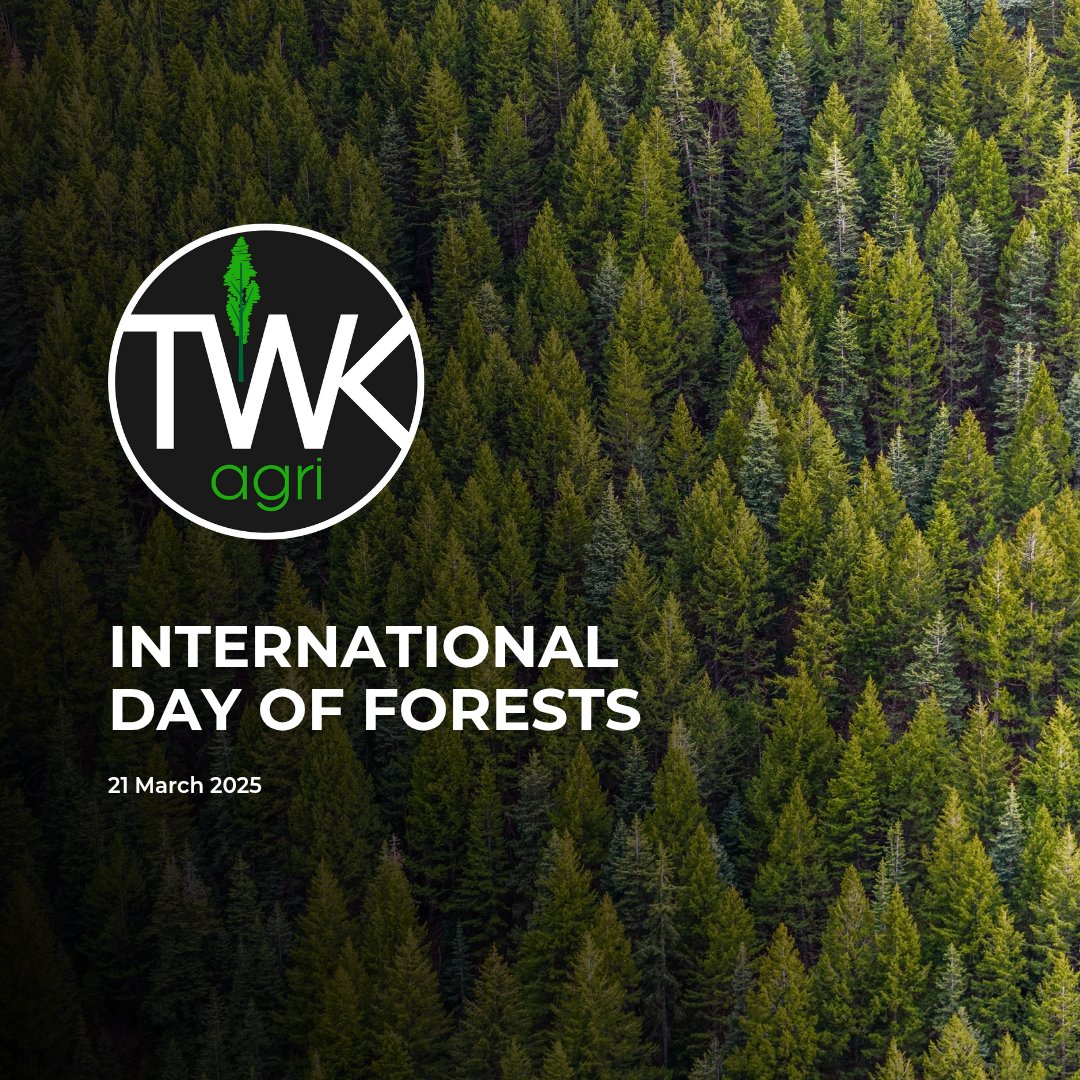 🌲 Celebrating International Day of Forests! 🌳
Today, we honour the vital role forests play in our world – from providing clean air and water to sustaining biodiversity and supporting livelihoods.

#InternationalDayOfForest #SustainableForestry #ForestsMatter #GreenFuture