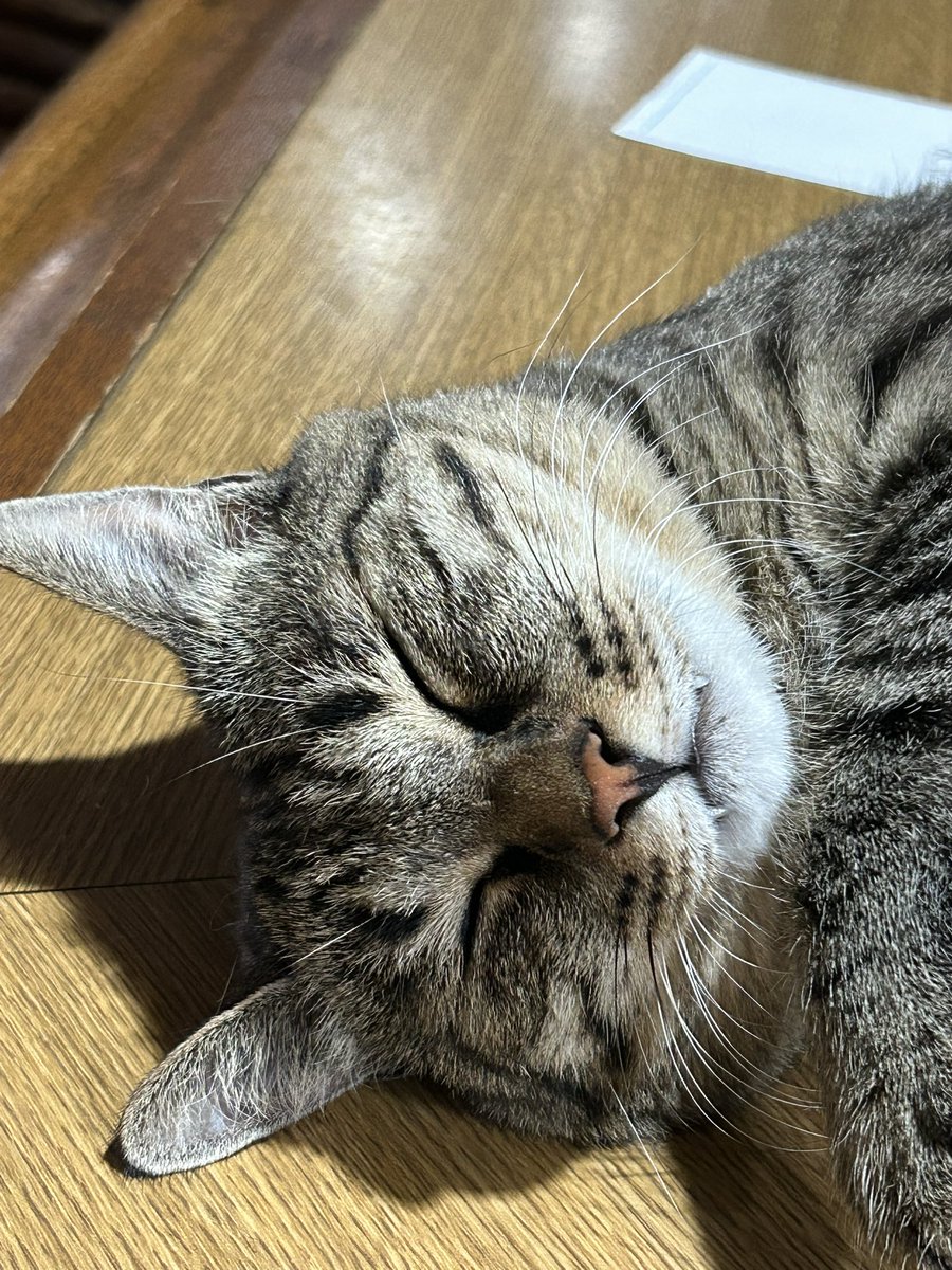 sbadguy888's tweet photo. https://t.co/LIWMqJogzv