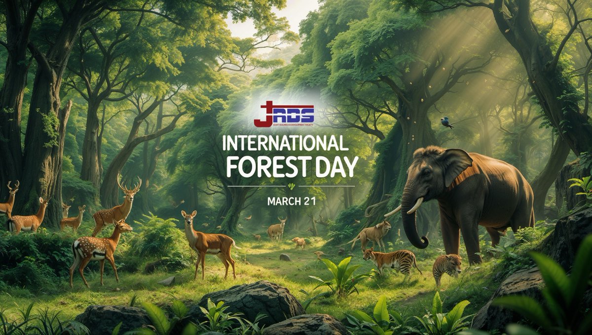 🌲 International Day of Forests 2025 
Today, we celebrate the vital role forests play in our lives—providing clean air, supporting ecosystems, and ensuring a sustainable future.
Let’s protect and restore our forests to create a healthier planet for all
#InternationalDayOfForests