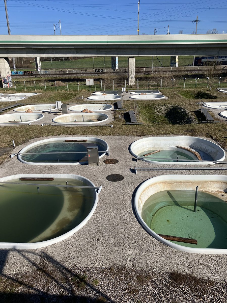 ecochangegroup's tweet image. Thank you @EawagResearch for the invite to talk about our work. What an inspiring turnout and environment! Plenty of potential for synergy between our mass spec facilities @TrentWQC.