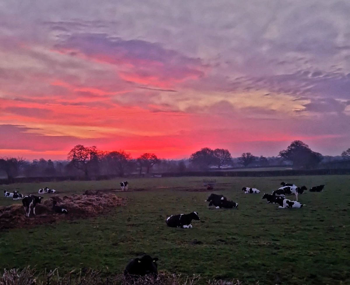 Good Morning!! ☀️😃 

Have a great Friday!! 💚

// 📸 Pete Bayley