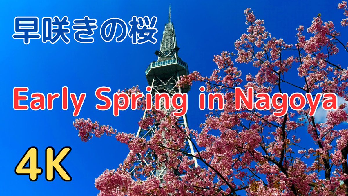 bibilolox's tweet photo. YouTubeにて歴史の旅専門の『ビビロロ歴史旅 』https://t.co/hkDcDdS4cp と、その他の旅『Bibilolo Voyage』 https://t.co/rhMRK9AXV1 を運営しています。I run two channels on YouTube. https://t.co/78kviB4KdV