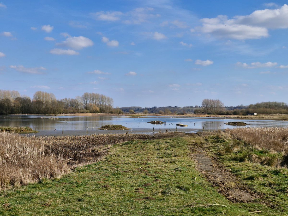 Choosing your new optics can be tricky, but when you have Osprey, Barn Owl and Red Kite <a href="/to/">trevor.btc</a> watch when you’re testing makes it much more fun <a href="/Rutland_InFocus/">In Focus, Rutland</a> <a href="/ZEISSBirding/">ZEISS Birding</a> <a href="/SwarovskiOptik/">SWAROVSKI OPTIK</a> <a href="/opticronuk/">Opticron</a> <a href="/VortexOpticsUK/">Vortex Optics UK</a> <a href="/rutlandospreys/">Rutland Ospreys</a>