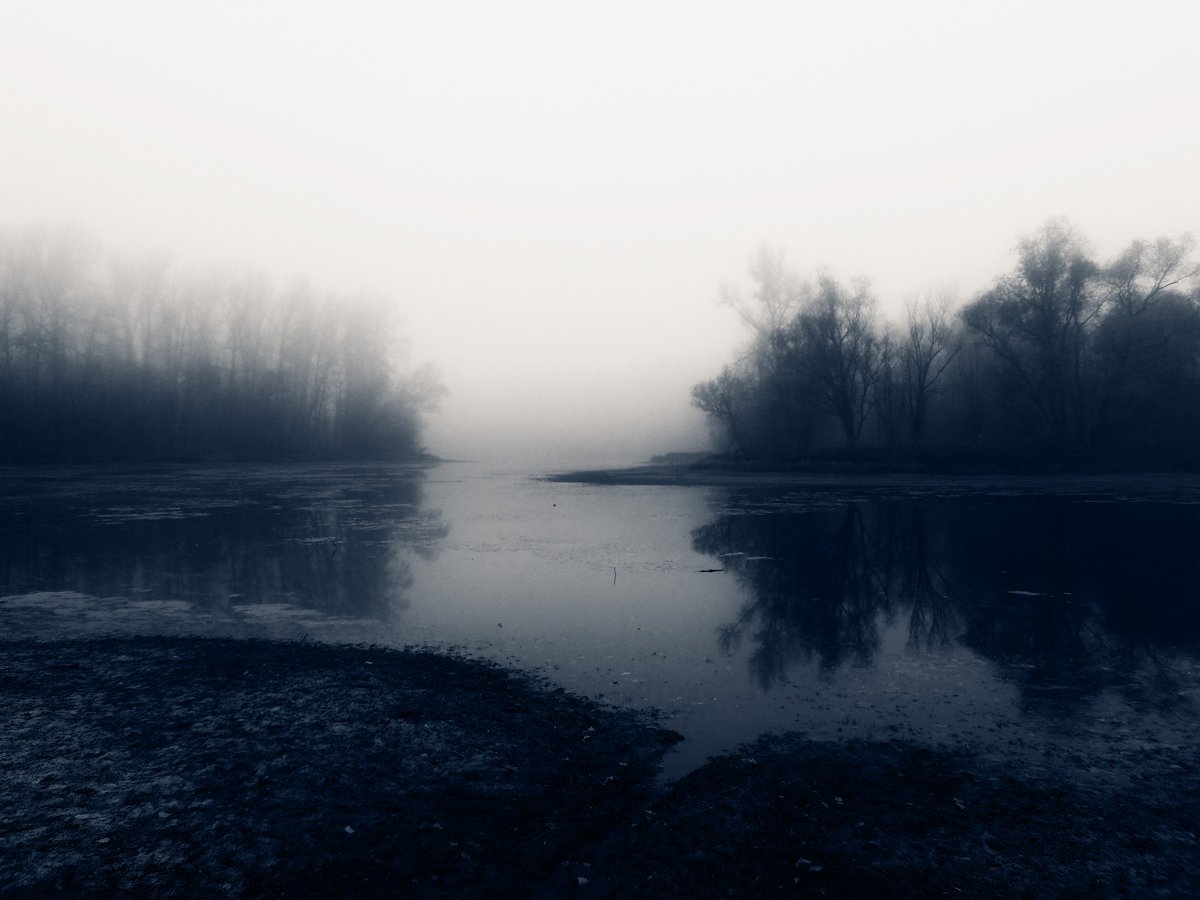 ZhannaPhoto's tweet photo. Don't lose your way in the fog.
#FridayVibes #FogFriday https://t.co/yAXgNtKF6a