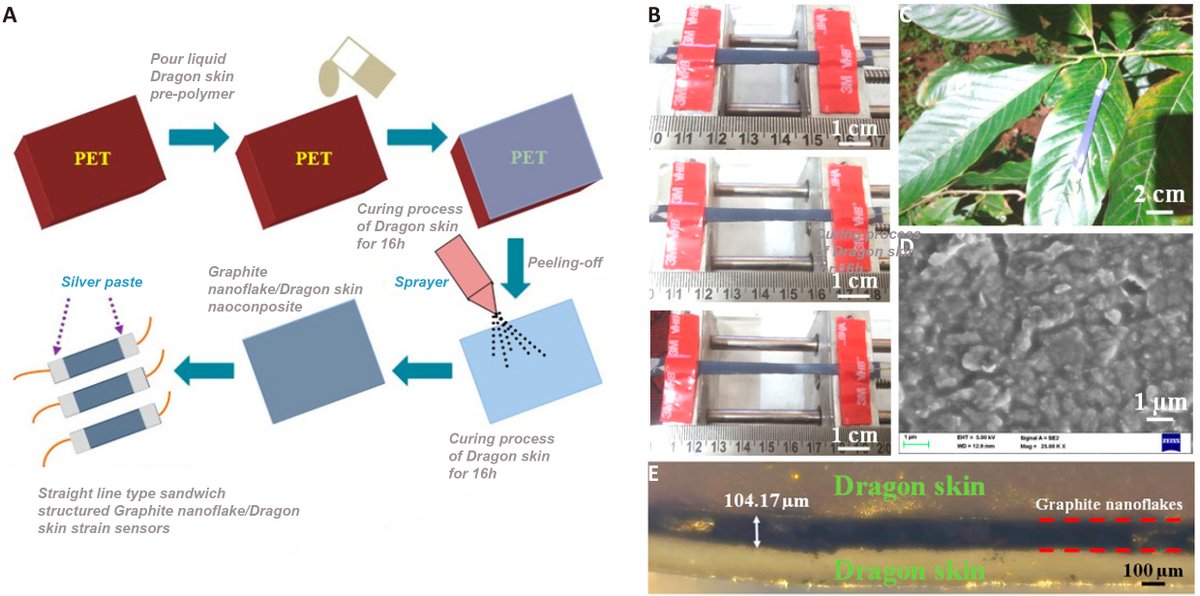 IFPG_Innovation's tweet photo. ✨Research Article  
 "Ultrasensitive Human Technology Systems Design and Stretchable Strain Sensors for Wearable Electronic Applications" by Madhavan R 
⏬Read more here⏬
https://t.co/bGIVrgbjRx https://t.co/3Hvenp8VwP
