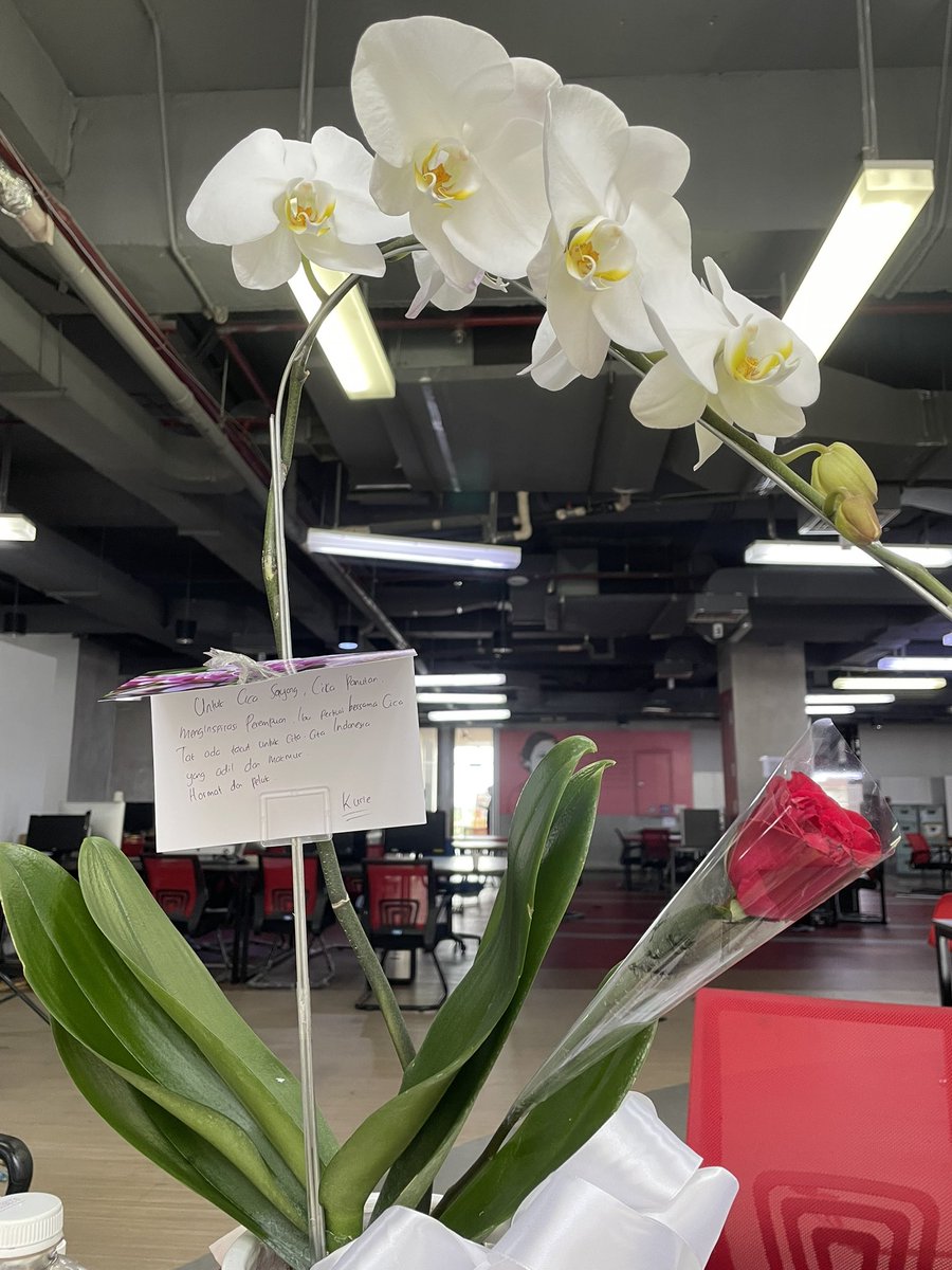 chichafrancisca's tweet image. Hari ini Bu Sumarsih dan teman2 masyarakat sipil datang membawa bunga2. Beribu terima kasih atas dukungan dan semangat dari tmn2. Sesungguhnya ancaman, teror, ini bukan hanya untuk saya, utk Tempo, tp kita masy sipil yang memperjuangkan kebebasan pers dan kebebasan bereskpresi.