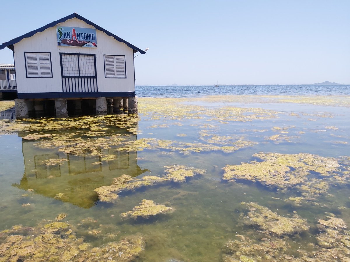 ✅Cap8. #Gobernanza del Sistema Socioecológico del Mar Menor. Retos y propuestas
📘 bit.ly/InformeOPPA24
#InformeOPPA #MarMenor #gobernanzaagua #crisisecologica