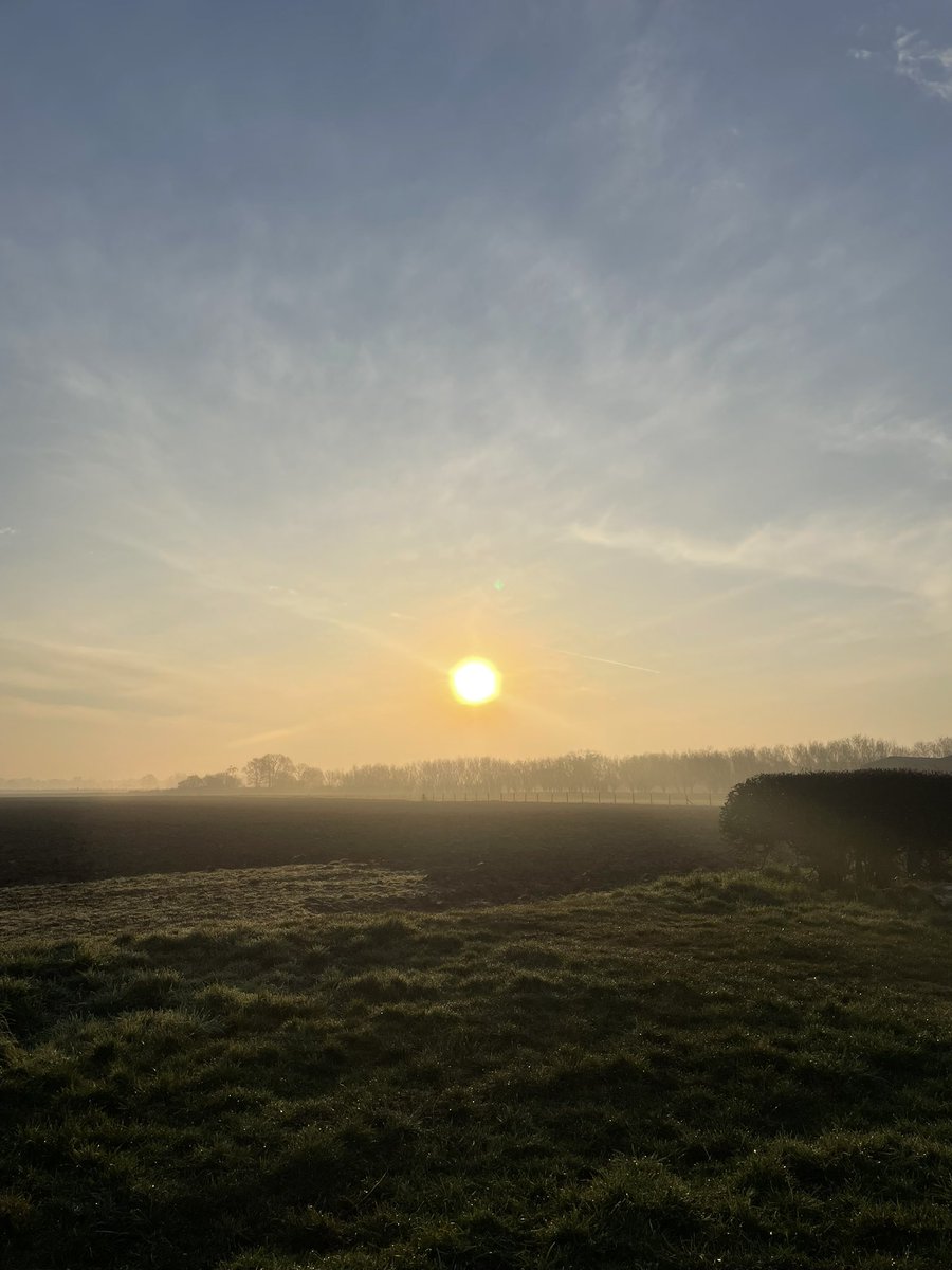 Sunrise. Mist. 
Walk. Done.