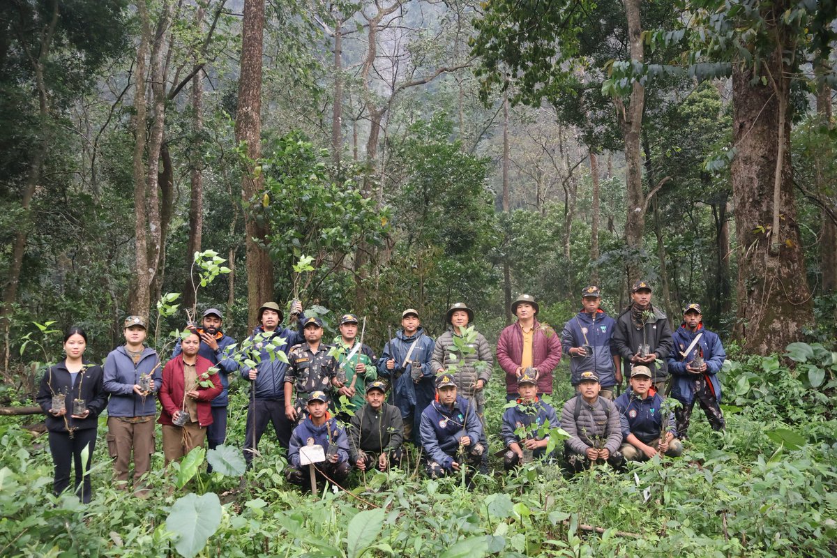 Kamlang Tiger Reserve tweet media